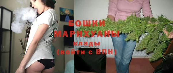 прущие грибы Дмитров