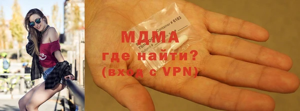прущие грибы Дмитров