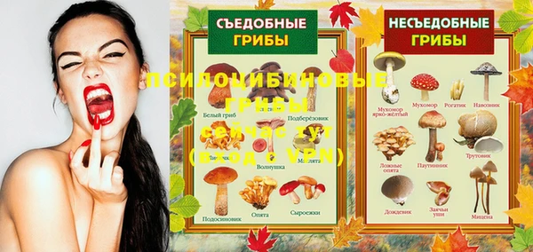 COCAINE Дмитриев