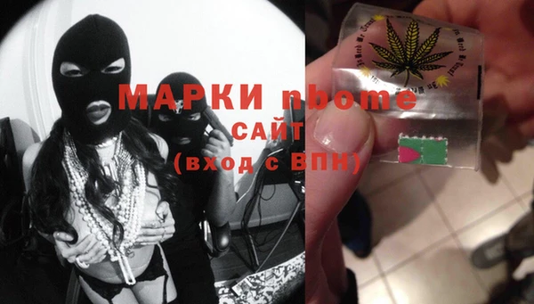 прущие грибы Дмитров
