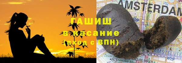 прущие грибы Дмитров