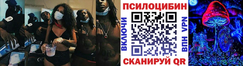 Псилоцибиновые грибы мицелий  Моршанск 