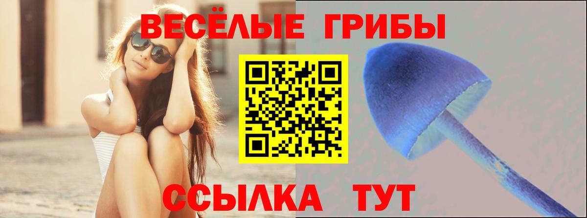 Псилоцибиновые грибы Psilocybine cubensis Моршанск